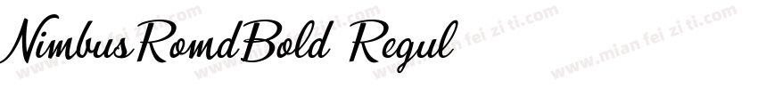 NimbusRomdBold Regul字体转换
